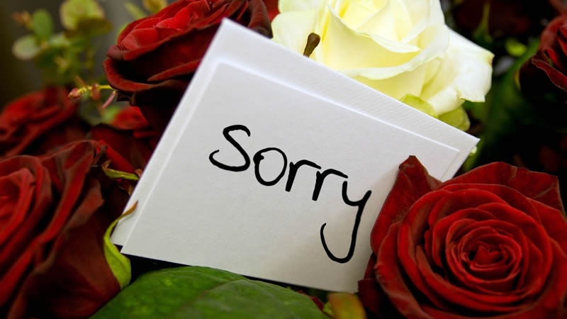 Apologies Save your Relationship
