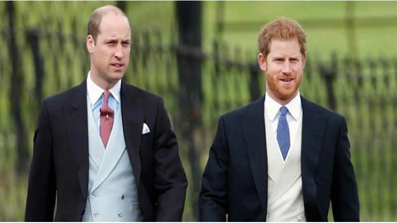 William losing best friend Prince Harry