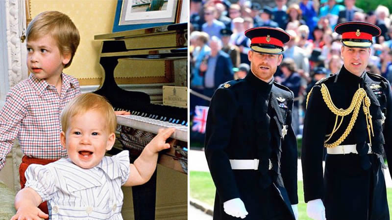 Prince William and Prince Harry ‘have a long way