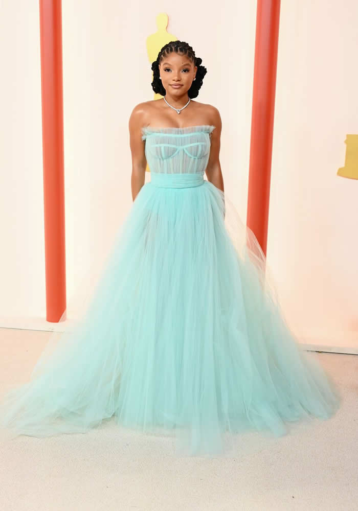 See Every Look from the 2023 Oscars Red Carpet Last Night