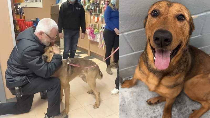 A shelter dog that has been there for a long time bids farewell