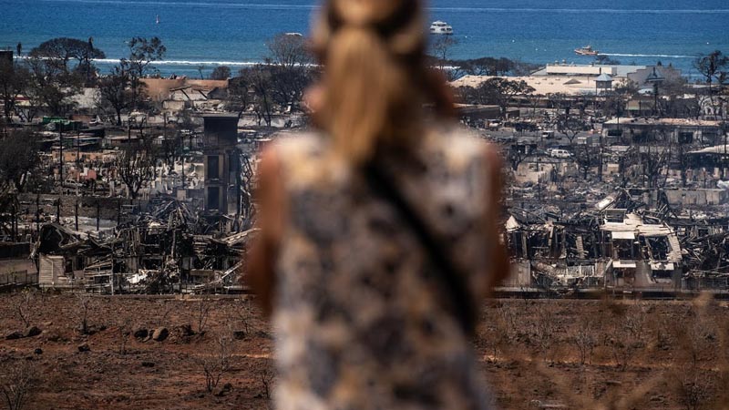 Hawaii Deadly Wildfire DNA Samples