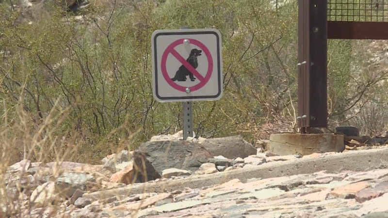 no hiking with dogs