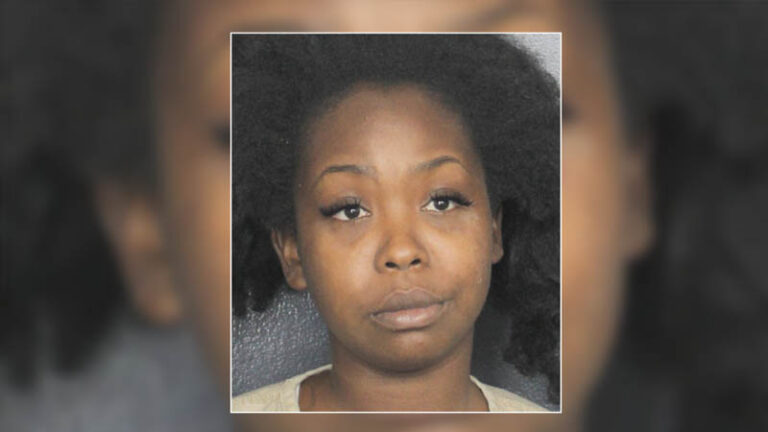Florida Mom Accused of Leaving Kids in Hot Car While Shopping at Walmart