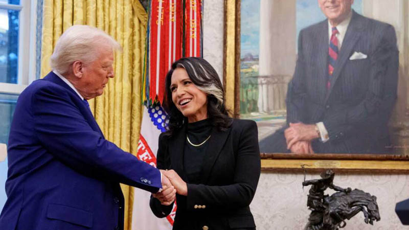 Tulsi Gabbard and donald Trump