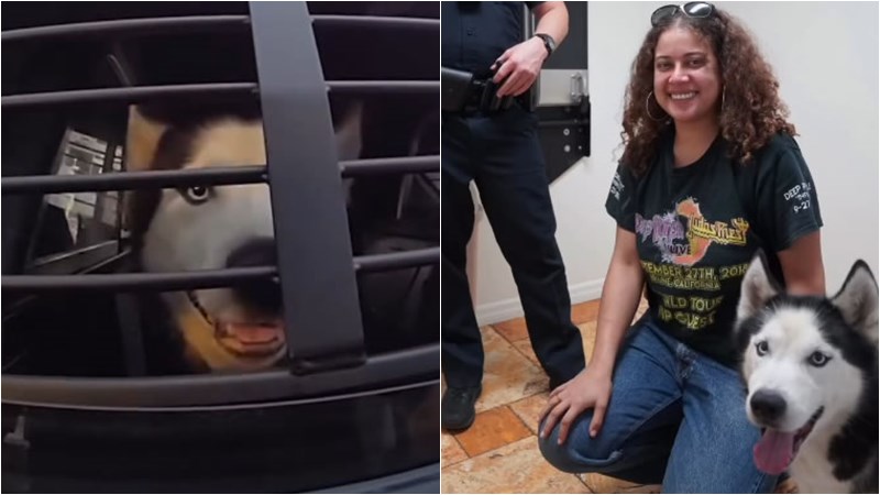 Gabrielle Hartley Dog