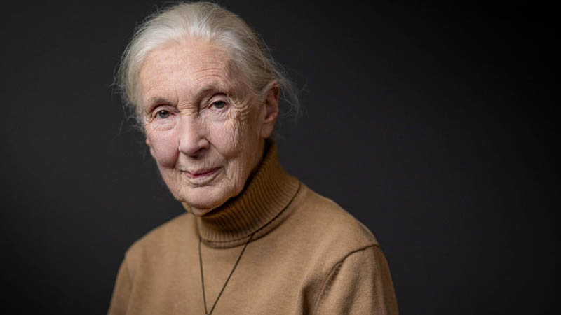 Dr. Jane Goodall