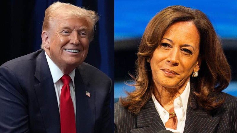 trump and kamala
