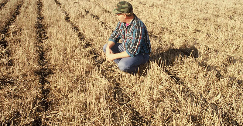 North Dakota farmer