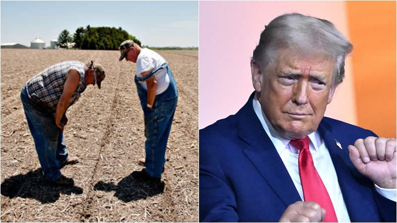 Farmers and Trump