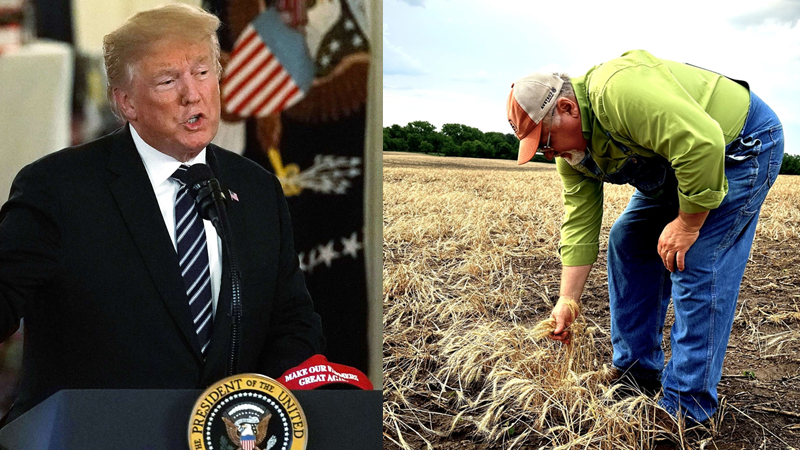 trump tariff farmer