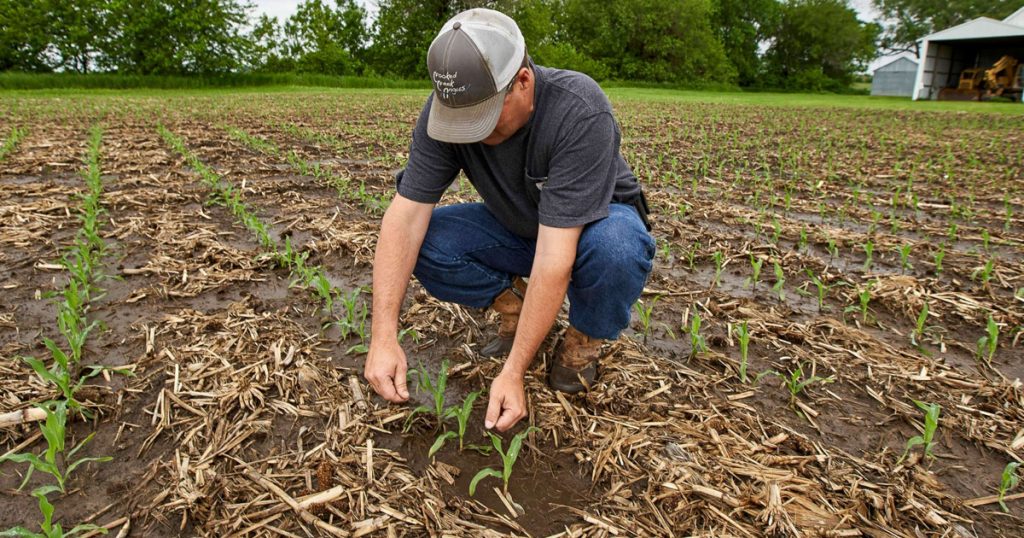 trump tariffs farmers