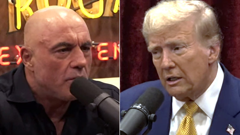 Joe Rogan and trump