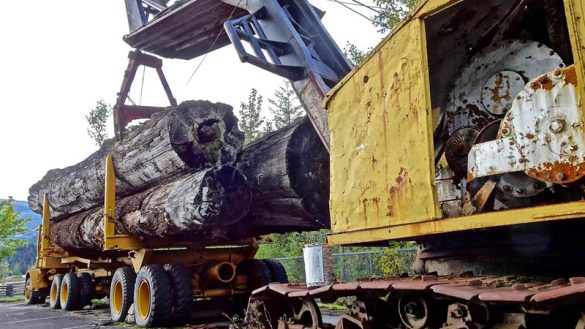 (Photo by MemoryCatcher/Pixabay