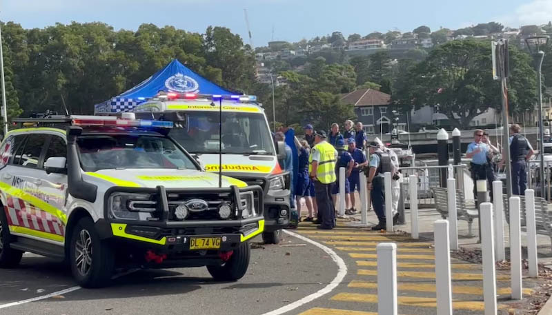 Shark Attack Sydney Harbour Beach