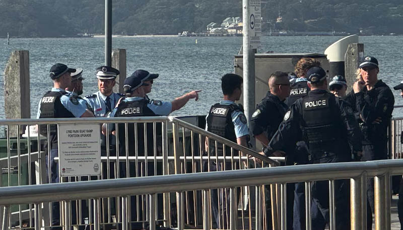 Sydney beach shark attack