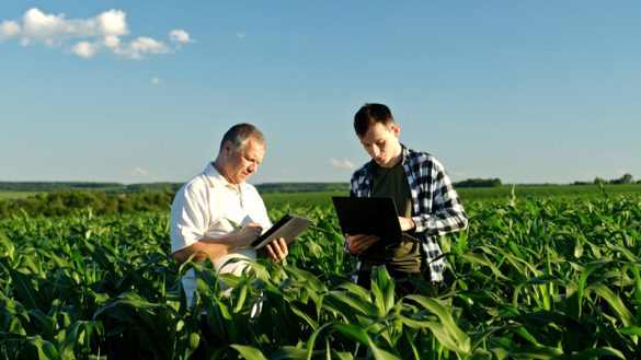 (Photo by StockSeller_ukr/Getty Images)
