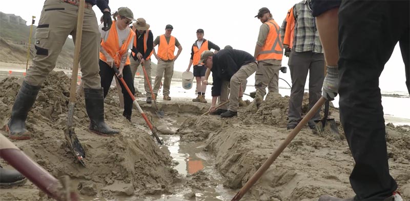 Army of Museums Victoria