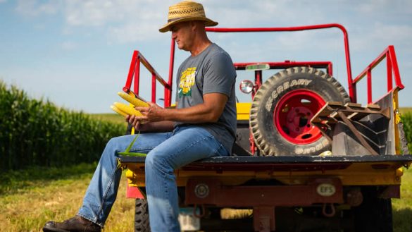 Iowa Farm Bankruptcies Jump 220% amid Deepening Corn Crisis. (Photo by Iowa Corn Org)