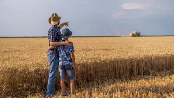 Farmers lean on loans as input costs rise and working capital falls in 2026. (Photo Credit: iStock)