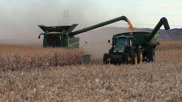 U.S. Loses Nearly 15,000 Farms in 2024 as Small Farms Continue to Disappear (Photo by Gary Stone, Nebraska Extension/Courtesy of University of Nebraska-Lincoln) 
