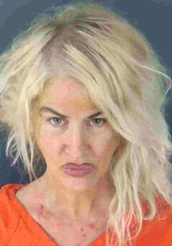 (Sarasota County Sheriff's Office)