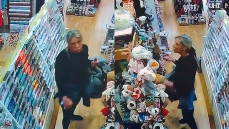Moment 'middle class' shoplifter grabs
