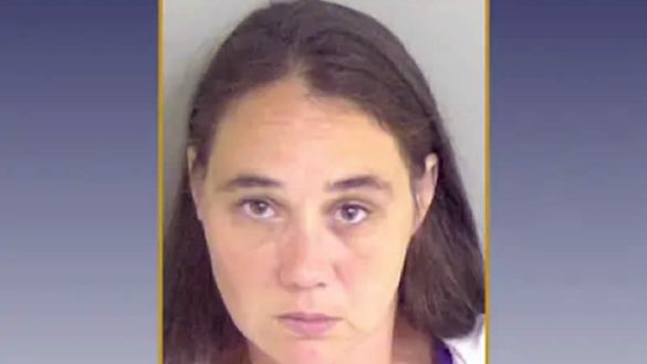 A Louisiana babysitter faces negligent homicide charges after a 3-year-old boy drowned in her pool while unsupervised for 20 minutes. (Ascension Parish Sheriff's Office)