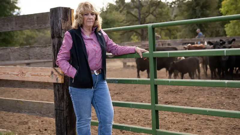 Mary Rickert on her cattle ranch near Redding, as seen on Oct. 28, 2024.