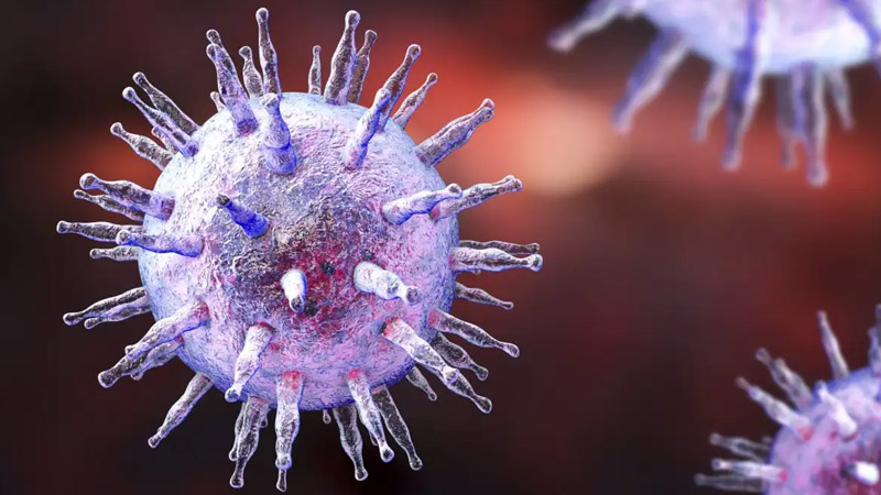 virus injection